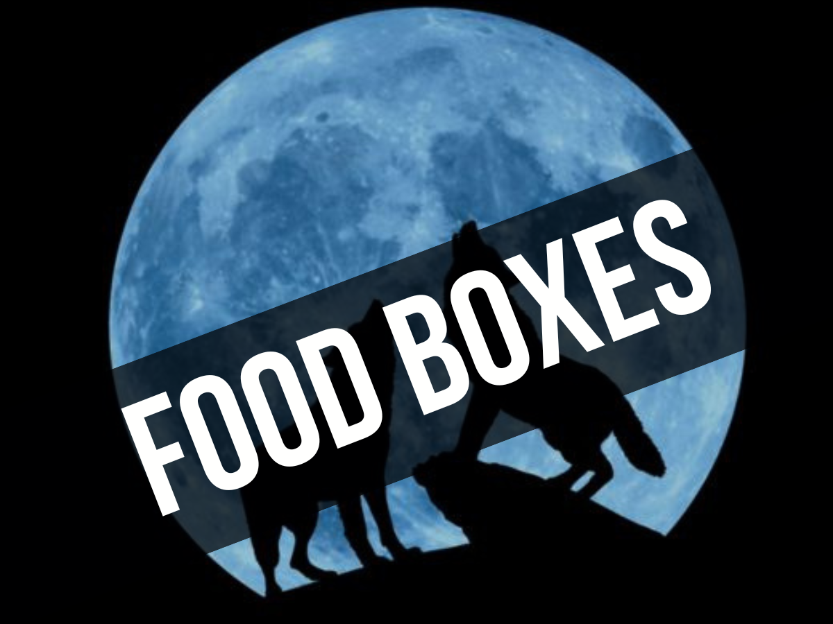 Two black wolves howling at large blue, moon rising above hill - with 'food boxes